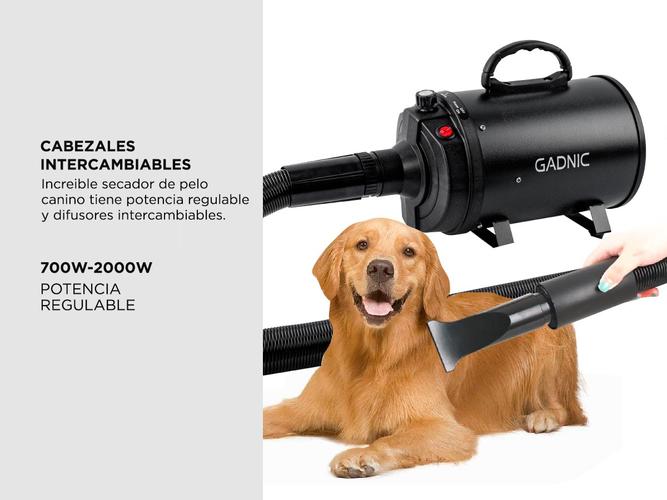Secador de Pelo Profesional Para Perros Gadnic PD2000 2000W - 2