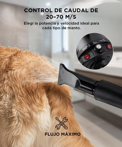 Secador de Pelo Profesional Para Perros Gadnic PD2000 2200W - 2