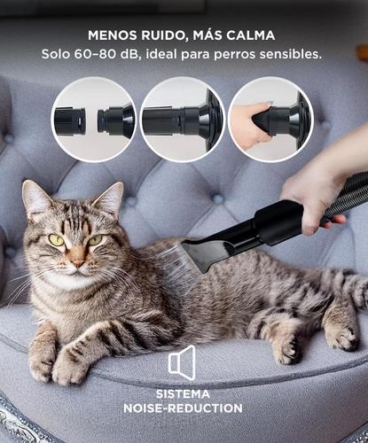 Secador de Pelo Profesional Para Perros Gadnic PD2000 2200W - 4