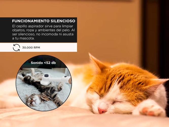 Kit de Aseo Para Mascotas Gadnic Para Perros Y Gatos  - 3