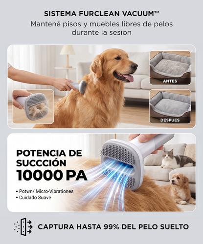 Cortapelos Aspirador Mascotas Gadnic 3 En 1 Cepillo Corte Y Aspiracion 10000 Pa 9 Accesorios - 2