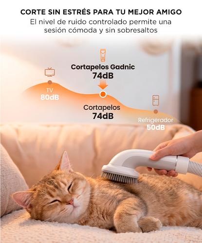 Cortapelos Aspirador Mascotas Gadnic 3 En 1 Cepillo Corte Y Aspiracion 10000 Pa 9 Accesorios - 5