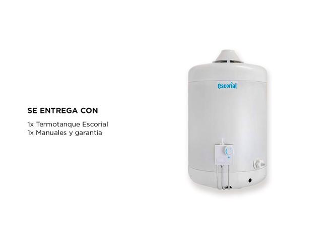 Termotanque Escorial 45L Multigas Superior Colgar Blanco - 5