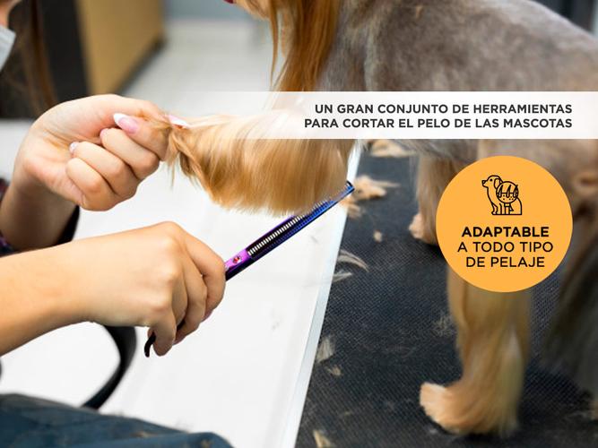 Tijeras Peluquería Canina Gadnic T-300S Profesionales + Estuche - 2
