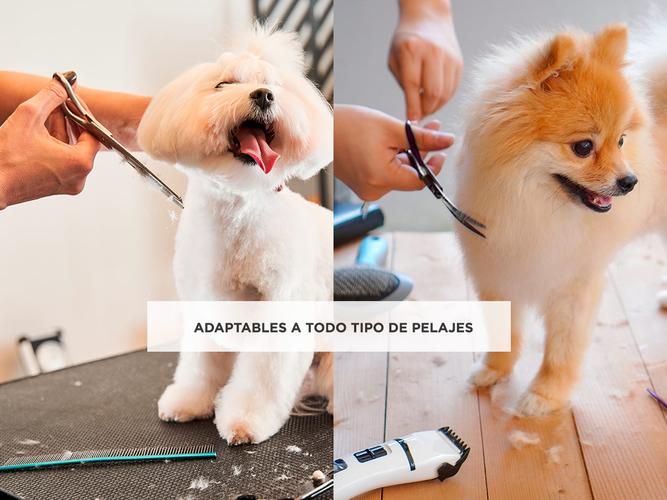 Kit Máquina De Cortar Pelo Para Perros Gadnic CPC12 + Set de 4 Tijeras  - 4