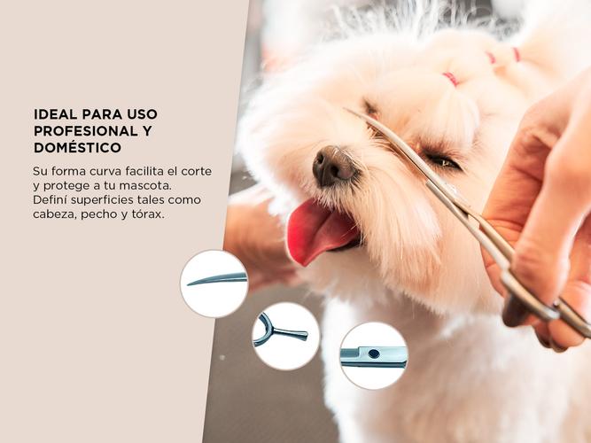 Tijeras Profesional Gadnic Curva Peluquería Canina Navaja 8 - 2