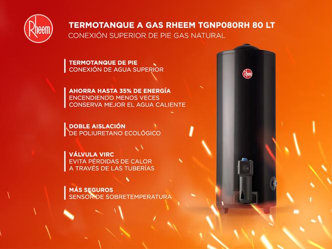 Termotanque a Gas Rheem TGNP080RH 80Lt Conexión Superior de Pie Gas Natural - 1