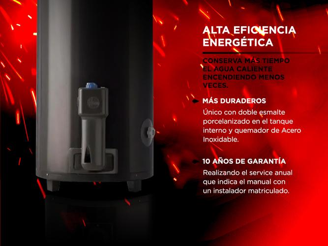 Termotanque a Gas Rheem TGNP080RH 80Lt Conexión Superior de Pie Gas Natural - 2