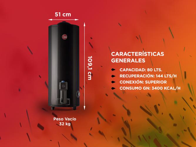 Termotanque a Gas Rheem TGNP080RH 80Lt Conexión Superior de Pie Gas Natural - 3