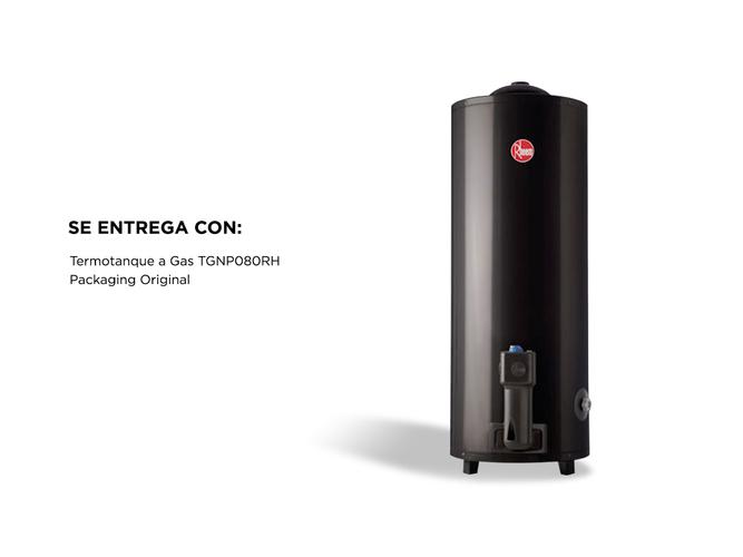 Termotanque a Gas Rheem TGNP080RH 80Lt Conexión Superior de Pie Gas Natural - 4