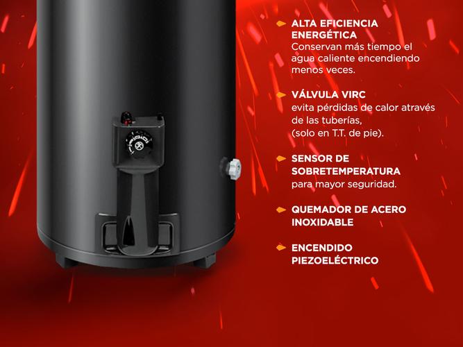 Termotanque a Gas Rheem TGNP120RH 120 Litros de Pie Conexión Superior Gas Natural - 2