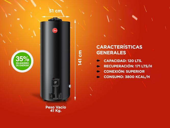 Termotanque a Gas Rheem TGNP120RH 120 Litros de Pie Conexión Superior Gas Natural - 3