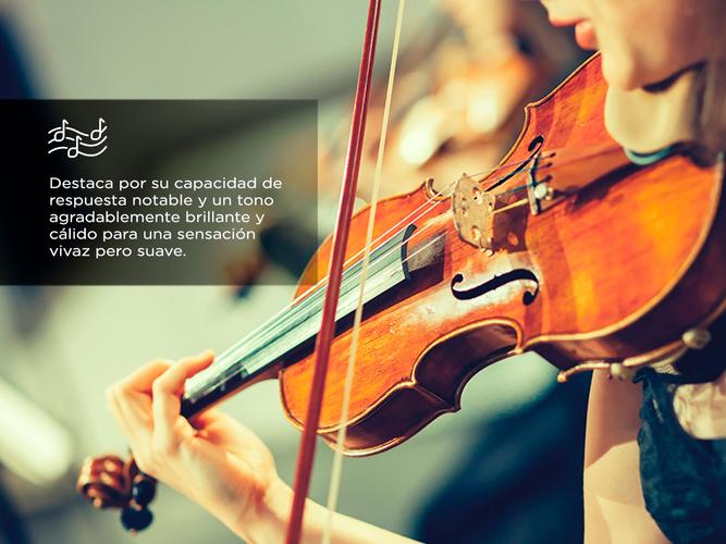 Violin Gadnic STRAD2000 4/4 Estudiantes Enchapado + Estuche + Afinador + Resina - 2