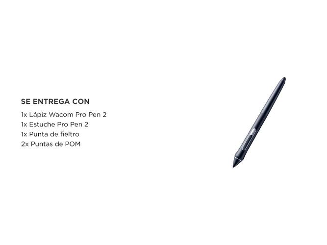 Lapiz para Tablet Grafica Wacom Pro Pen 2 - 5