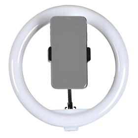  Aro Iluminador Led Gadnic 26cm 10  Ring Light Celular