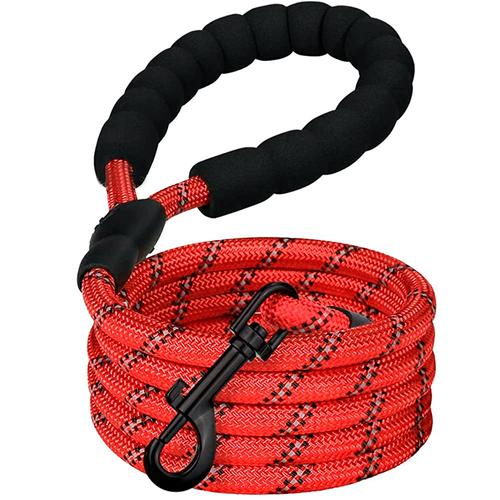 Correa Para Perro Gadnic Resistente 1.5 mts - 0