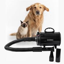 Secador de Pelo Profesional Para Perros Gadnic PD2000 2200W